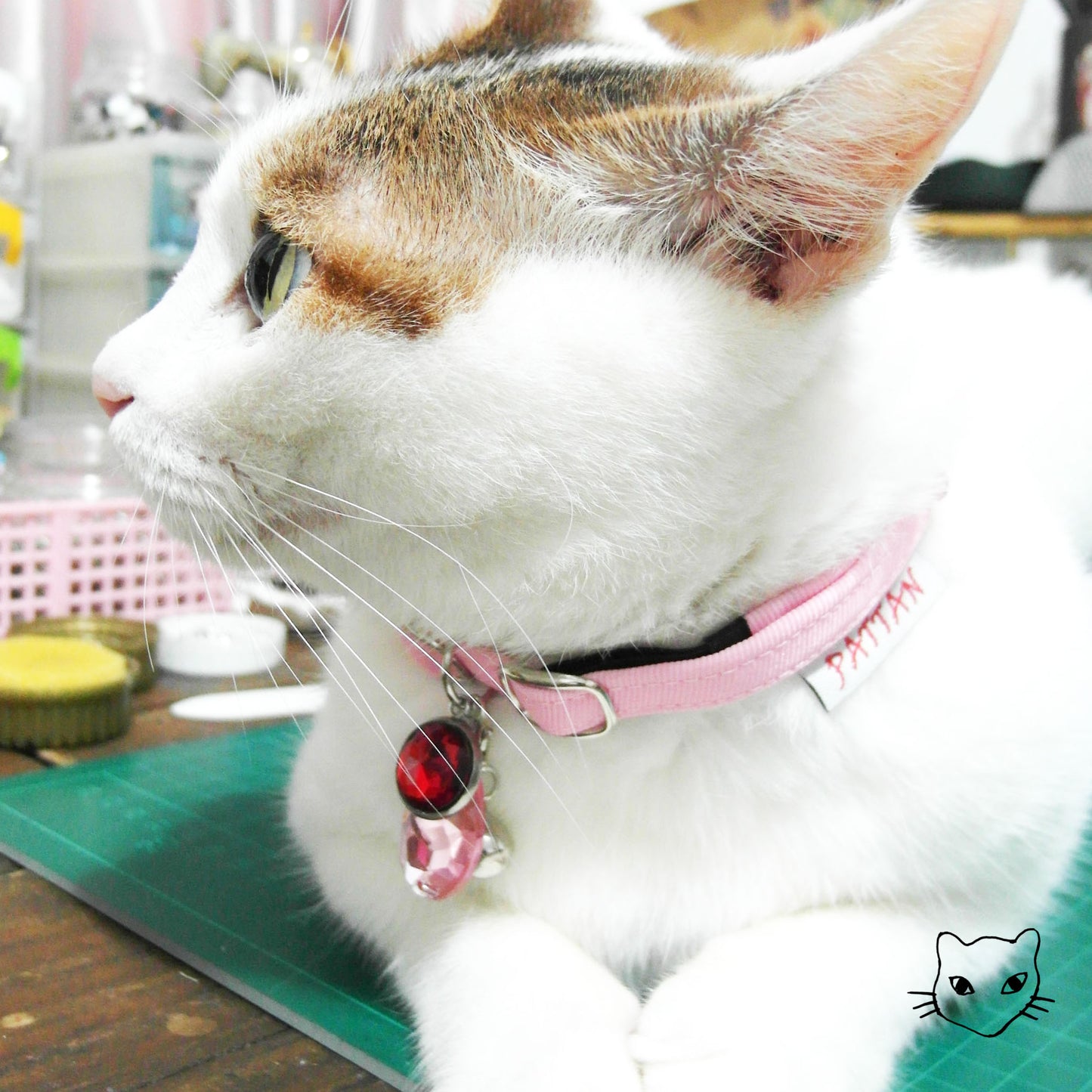 日日存亮鑽名牌