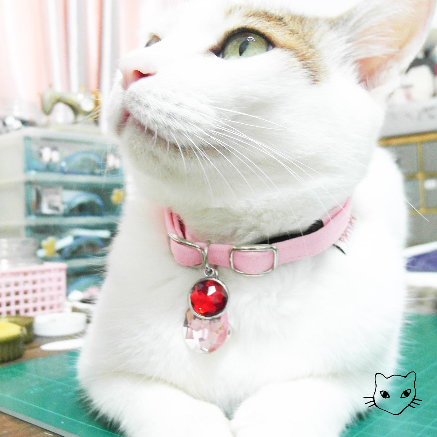 日日存亮鑽名牌