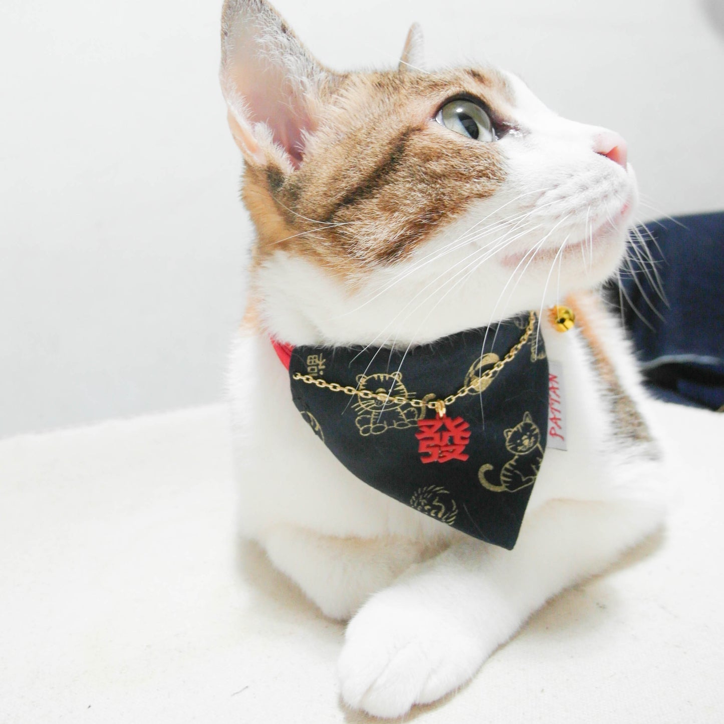 虎虎生風財會旺三角巾