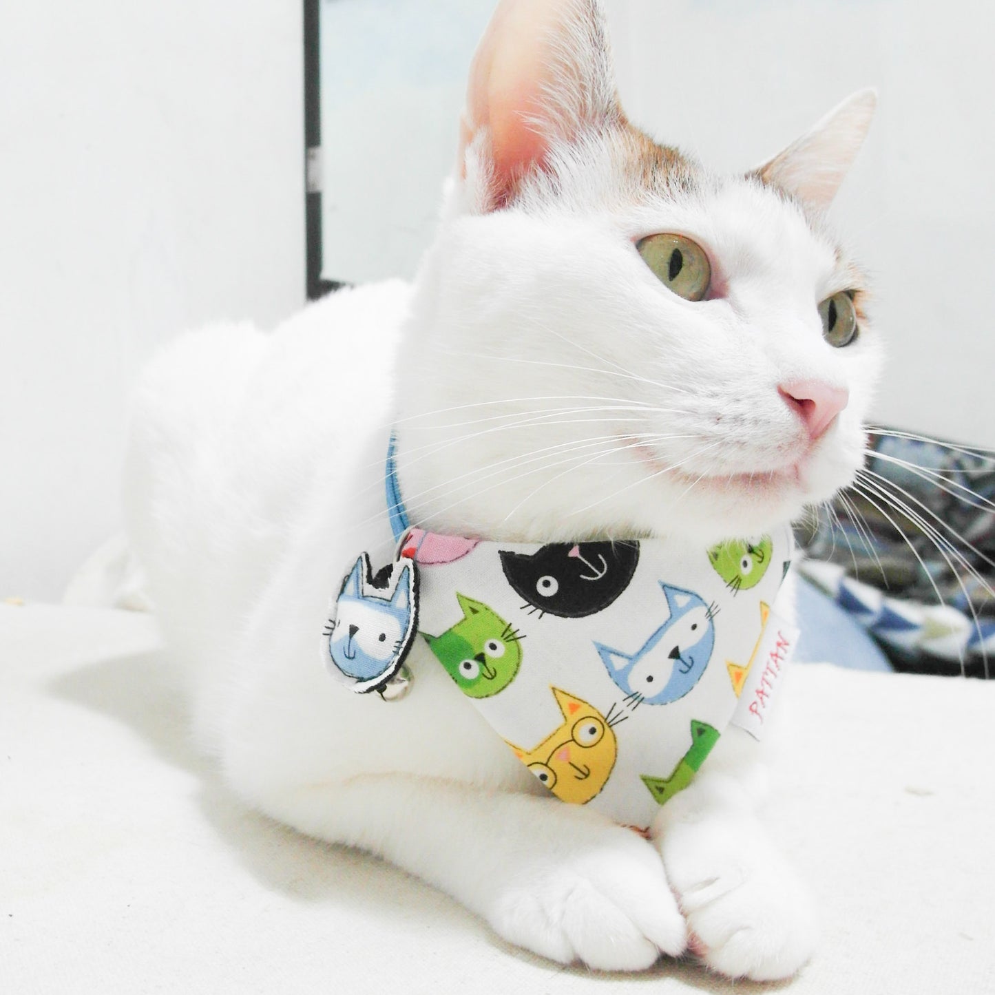 滿滿喵喵名牌雙面三角巾