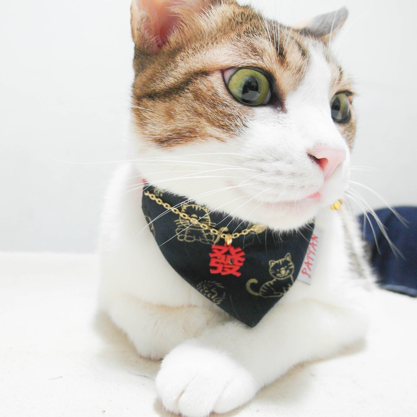 虎虎生風財會旺三角巾