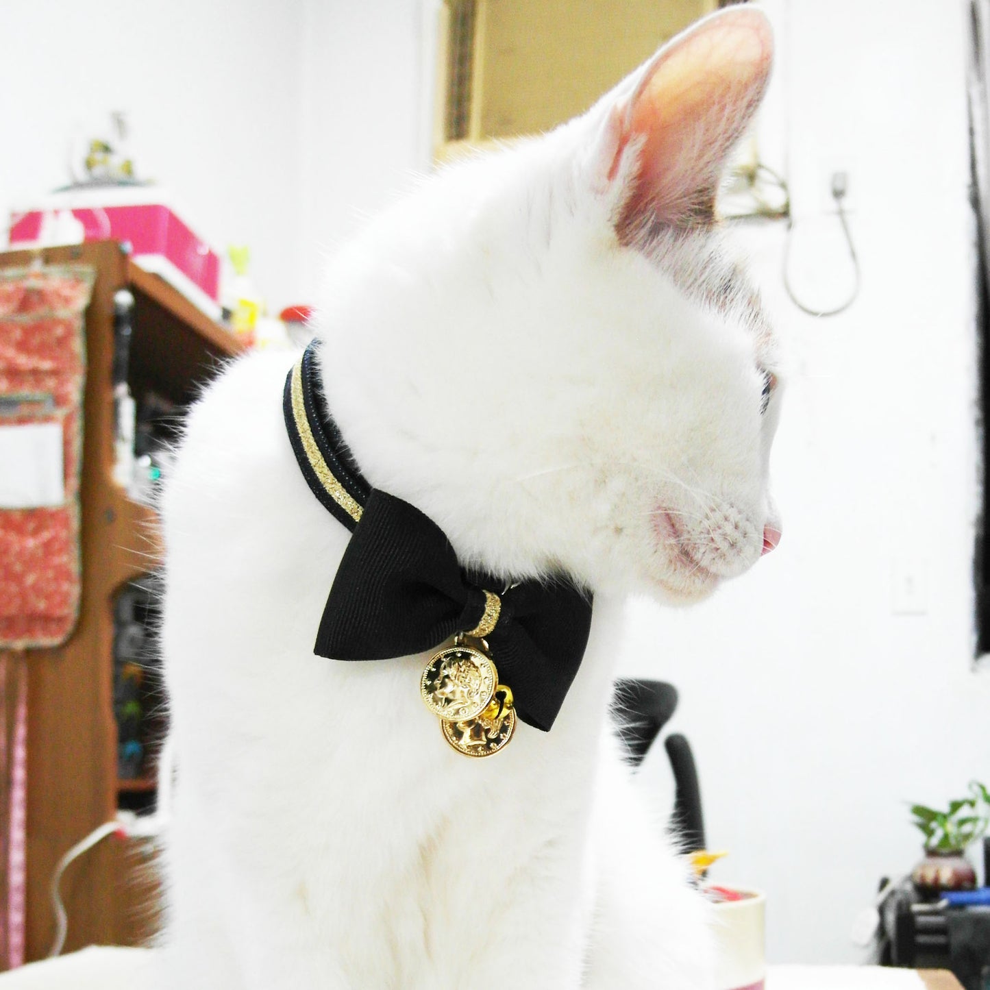 經典女王領結