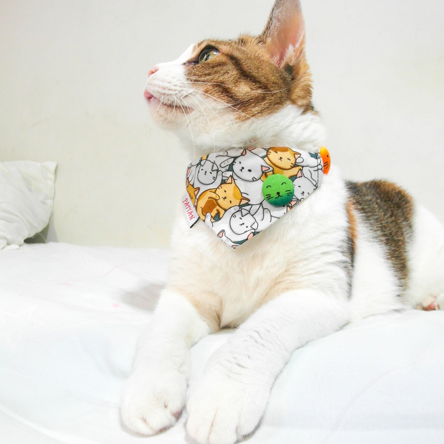 糖果貓三角巾