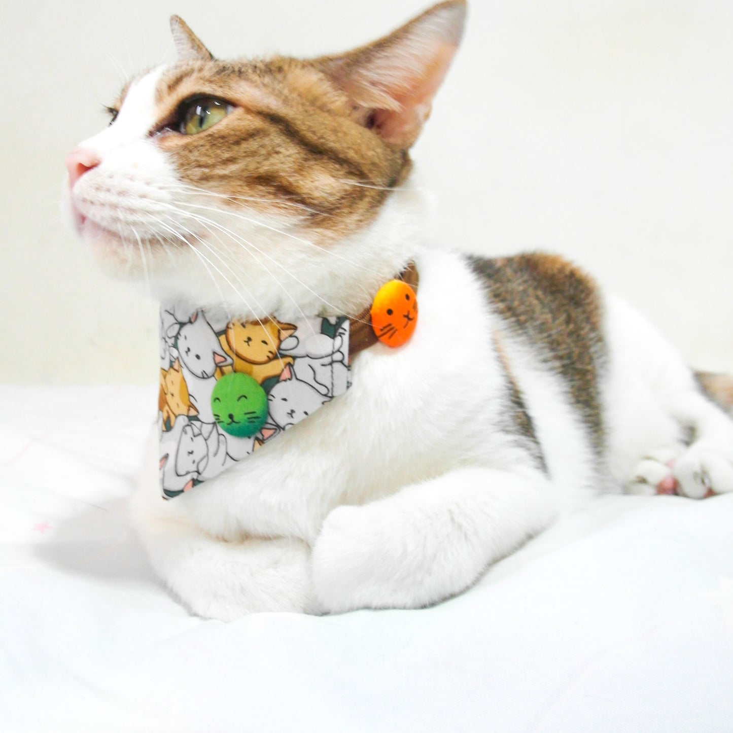 糖果貓三角巾